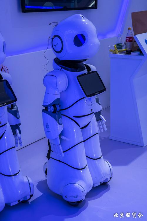 北京2020年中国国际服务贸易交易会花絮8
